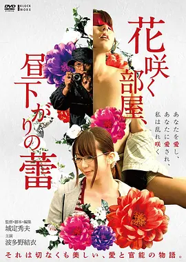 北方来信 高清电影手机免费在线观看